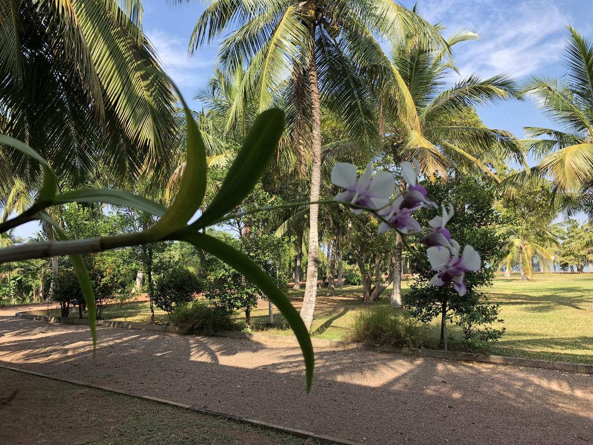 Hotel Lagoon Paradise Negombo Exterior foto
