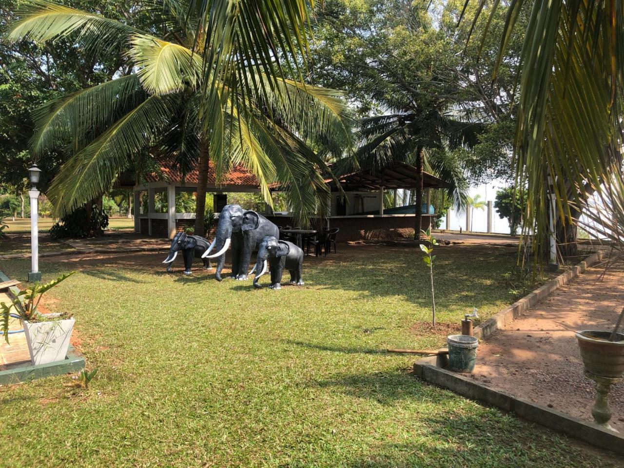 Hotel Lagoon Paradise Negombo Exterior foto